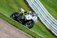 anglesey;brands-hatch;cadwell-park;croft;donington-park;enduro-digital-images;event-digital-images;eventdigitalimages;mallory;no-limits;oulton-park;peter-wileman-photography;racing-digital-images;silverstone;snetterton;trackday-digital-images;trackday-photos;vmcc-banbury-run;welsh-2-day-enduro